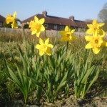 lg_April2010-2